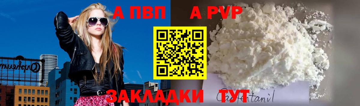 Альфа ПВП СК Гатчина