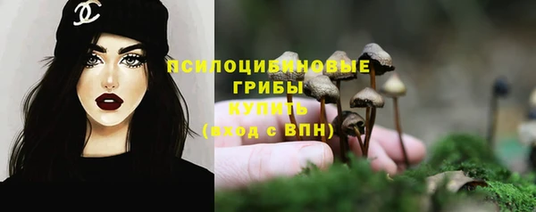 прущая мука Богородицк