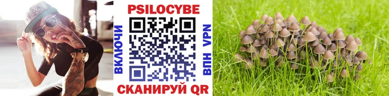Галлюциногенные грибы Magic Shrooms  Гатчина 