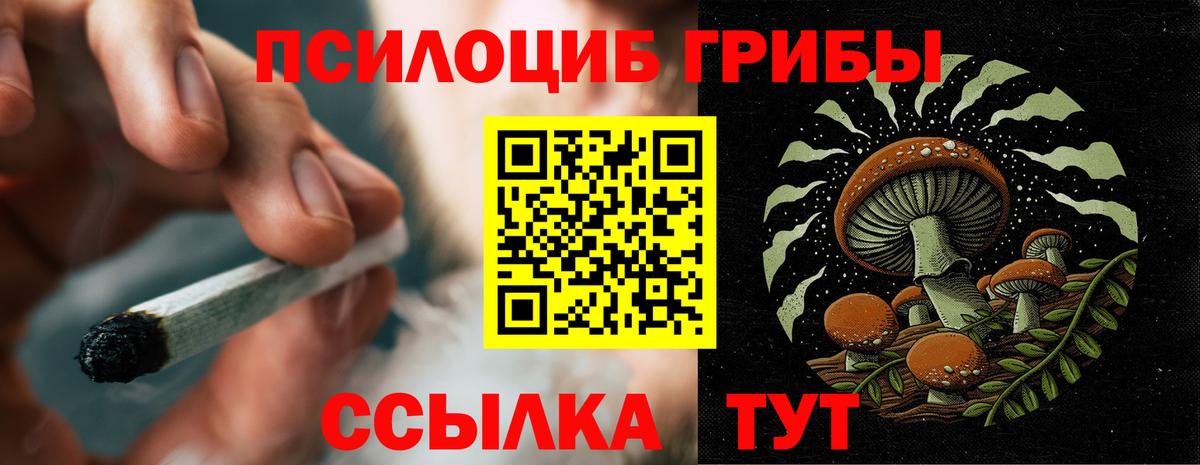 Галлюциногенные грибы Cubensis Гатчина