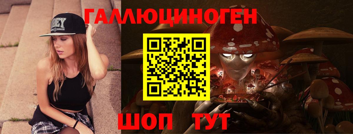 Псилоцибиновые грибы Psilocybe  Вход с VPN  Гатчина  Галлюциногенные грибы ЛСД 